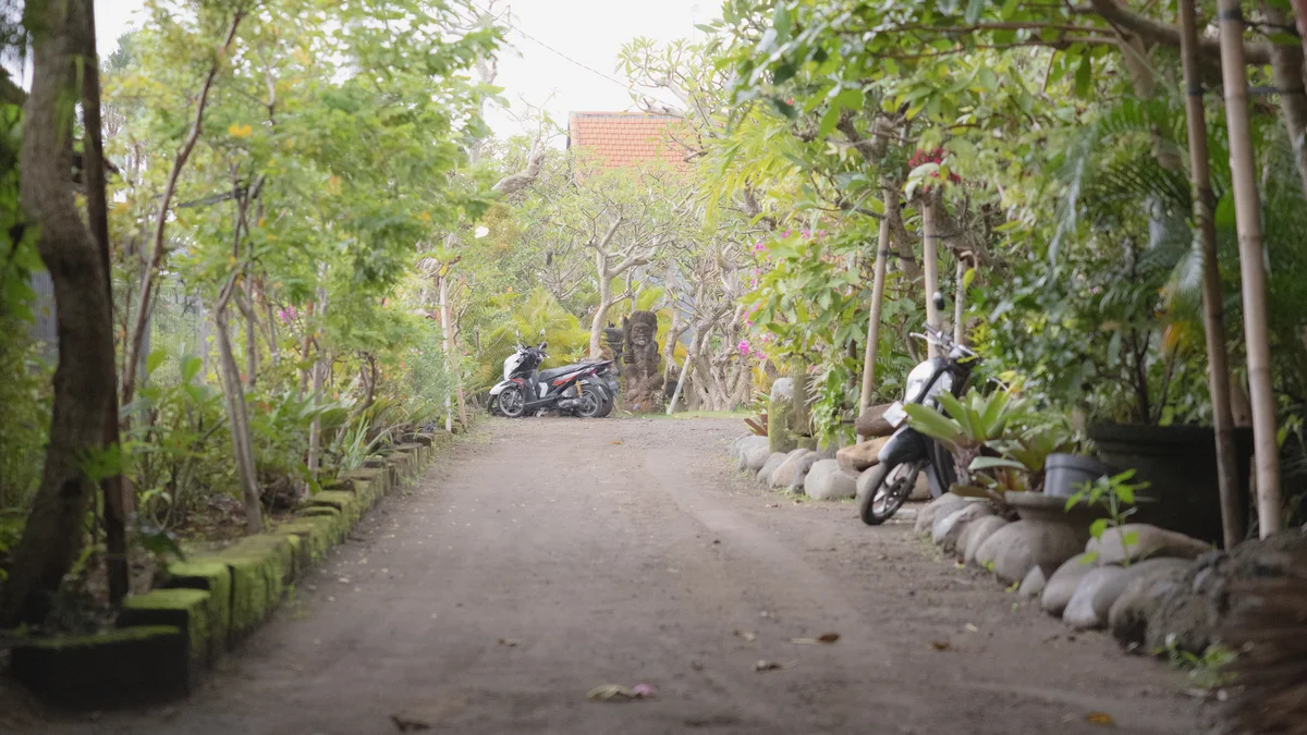 A month in Bali as a digital nomad