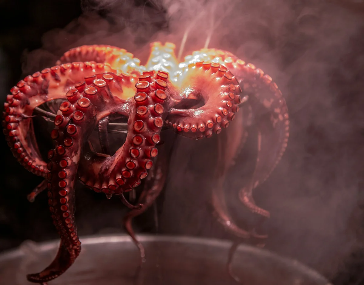 Welcome to Productopus